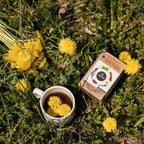 Herbal Detox