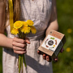 Herbal Detox