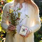 Echinacea Immunity