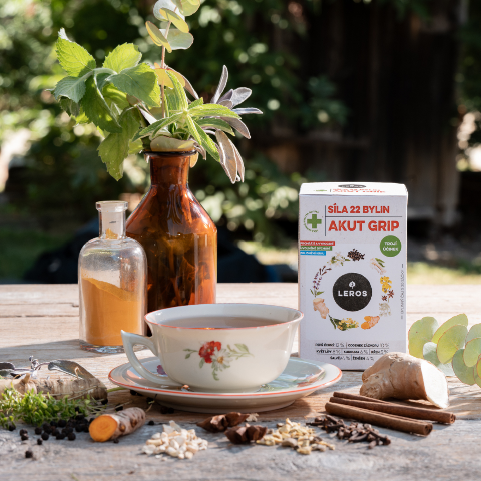 Power of 22 Herbs ACUTE GRIP
